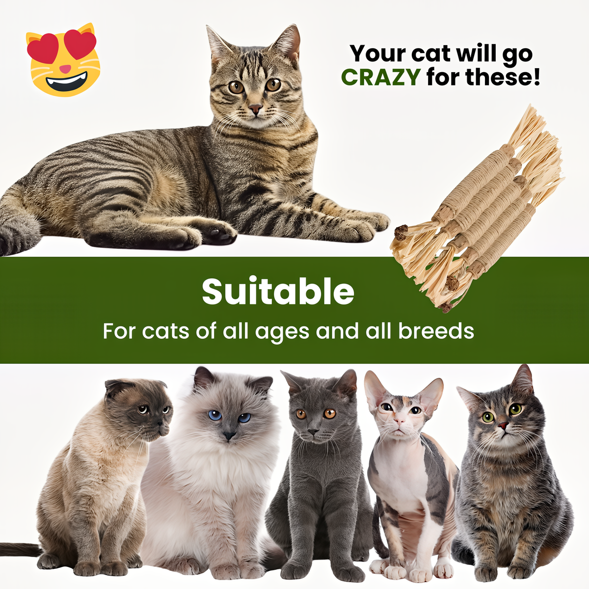 Purriq Natural Silvervine Dental Sticks