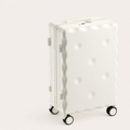 Textured Hard Shell Spinner Luggage