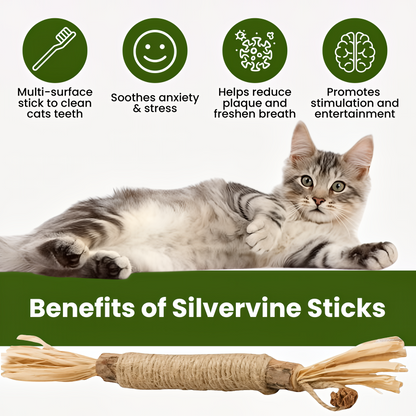 Purriq Natural Silvervine Dental Sticks