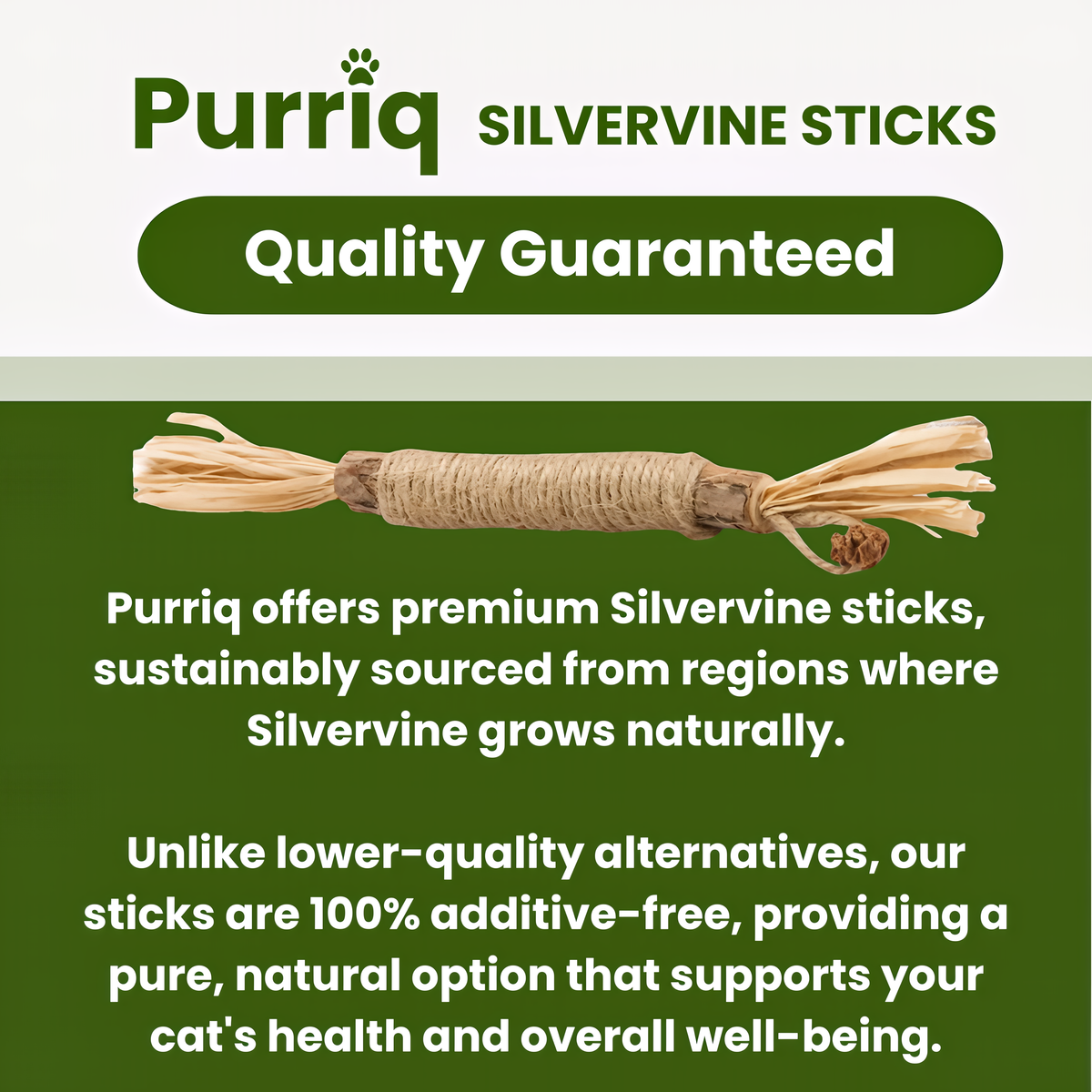 Purriq Natural Silvervine Dental Sticks