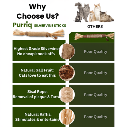 Purriq Natural Silvervine Dental Sticks