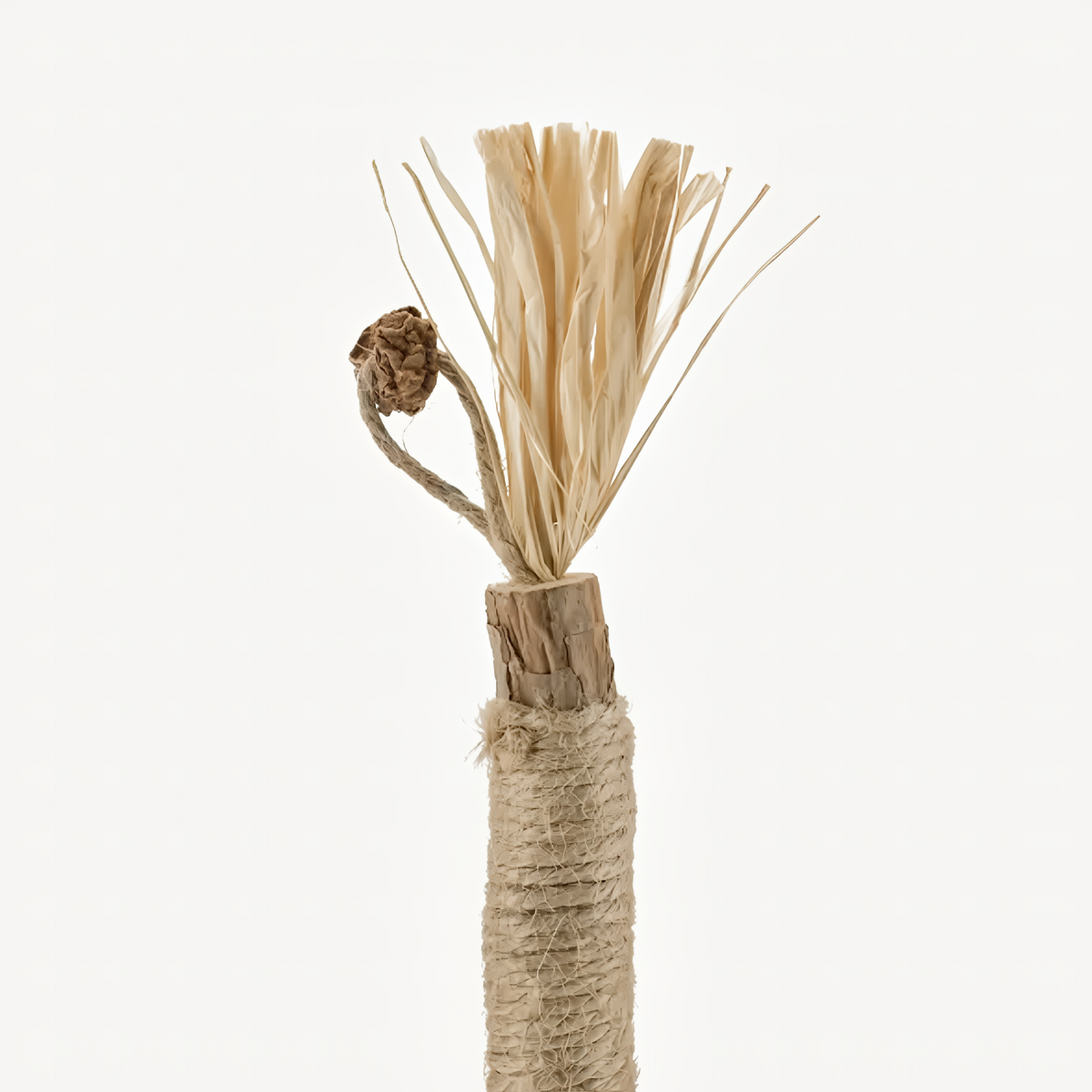 Purriq Natural Silvervine Dental Sticks